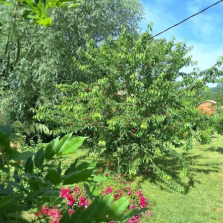 Les Glycines De Soubize Holiday home *